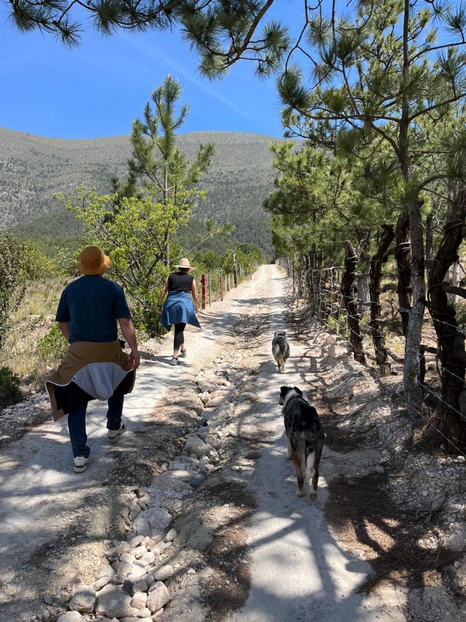 Camping En La Sierra De Arteaga Los Lirios 외부 사진