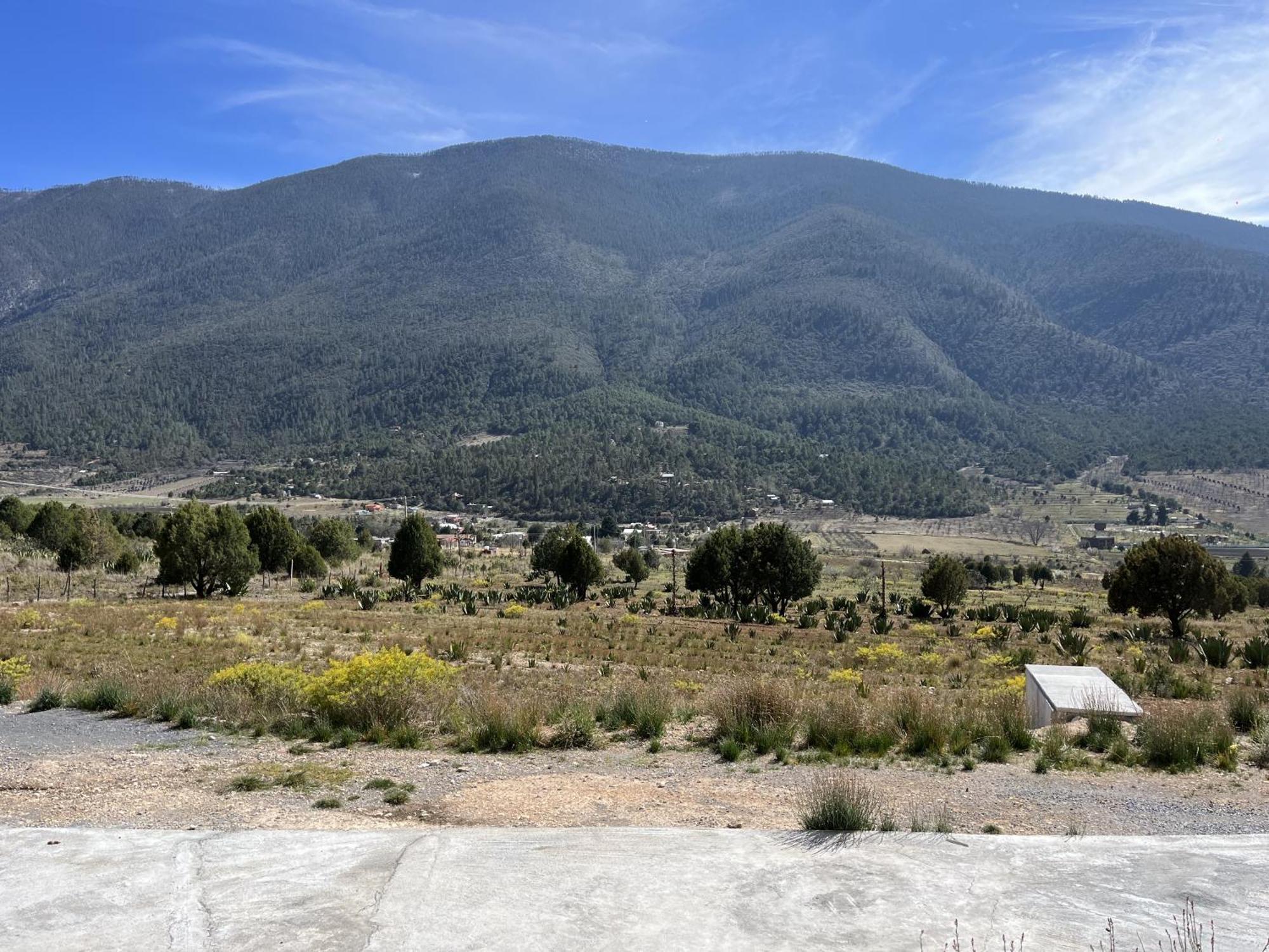 Camping En La Sierra De Arteaga Los Lirios 외부 사진