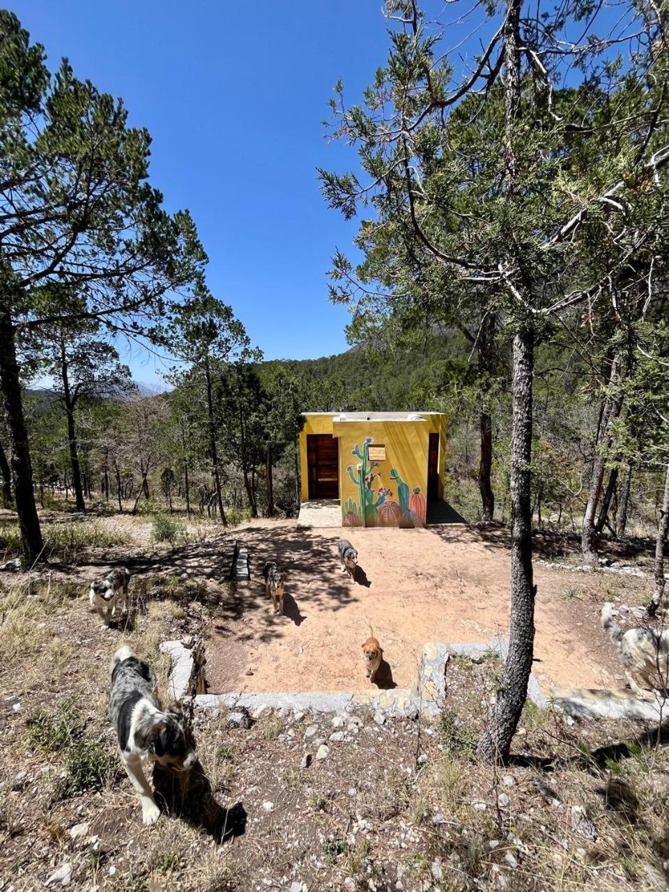 Camping En La Sierra De Arteaga Los Lirios 외부 사진