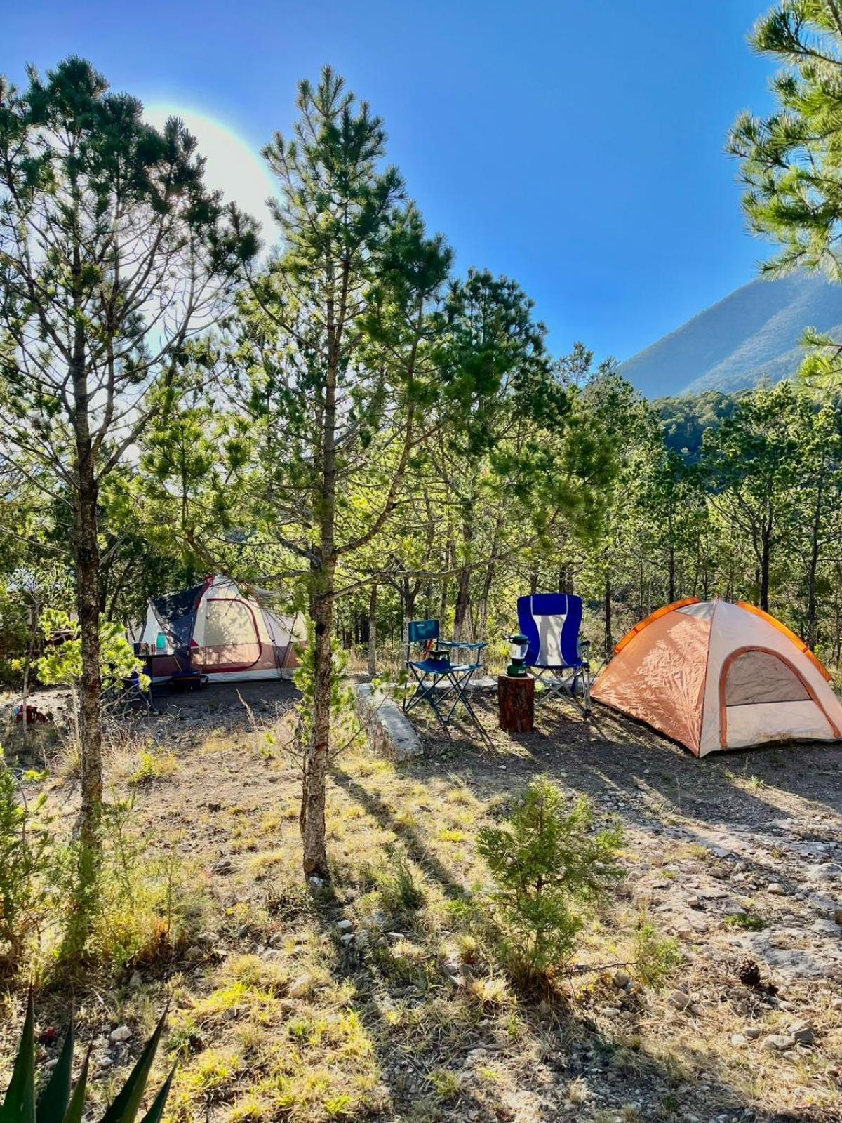 Camping En La Sierra De Arteaga Los Lirios 외부 사진